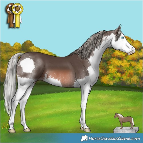 Horse Color:Liver Chestnut Mushroom Sabino Splash 