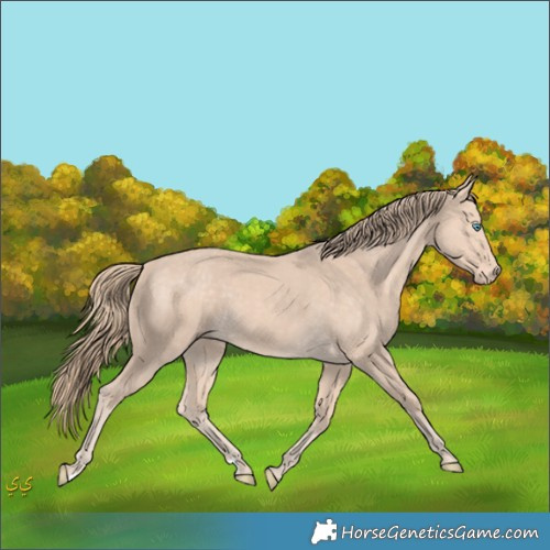 Horse Color:Perlino 