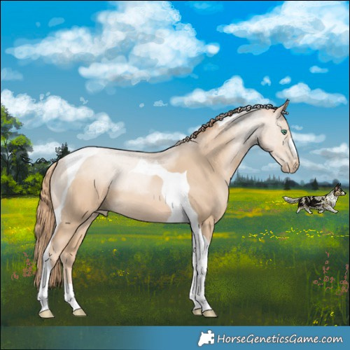 Horse Color:Smoky Black Pearl Tobiano 