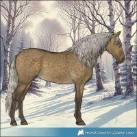 Horse Color:Silver Buckskin Dun  and Silver Buckskin Dun 