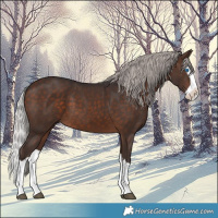 Horse Color:Silver Brown Splash 