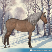 Horse Color:Silver Brown Dun Rabicano 