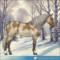 Horse Color:Silver Buckskin Dun  and Silver Buckskin Roan Dun 