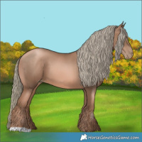 Horse Color:Liver Chestnut Pearl Mushroom 