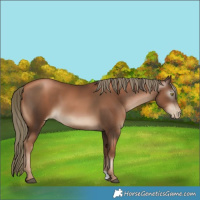 Horse Color:Gray Liver Chestnut Pearl Mushroom 