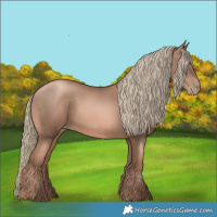 Horse Color:Liver Chestnut Pearl Mushroom