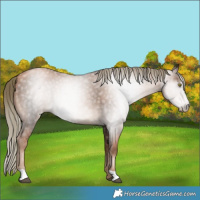 Horse Color:Gray Liver Chestnut Pearl Mushroom