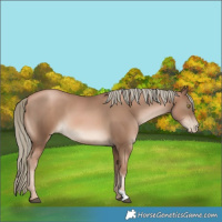 Horse Color:Liver Chestnut Pearl Mushroom 