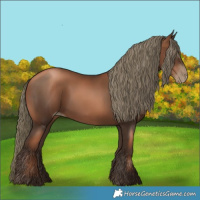 Horse Color:Gray Liver Chestnut Pearl Mushroom 