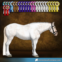 Horse Color:Gold Champagne Roan Dun Tobiano Snowflake Varnish Rabicano Brindle 