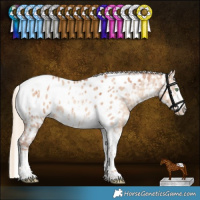 Horse Color:Gold Champagne Dun Sabino Tobiano Blanket Rabicano Brindle 