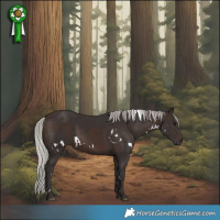 Horse Color:White Spotted Silver Brown