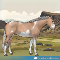 Horse Color:Silver Bay Dun Sabino Tobiano Frame Rabicano
