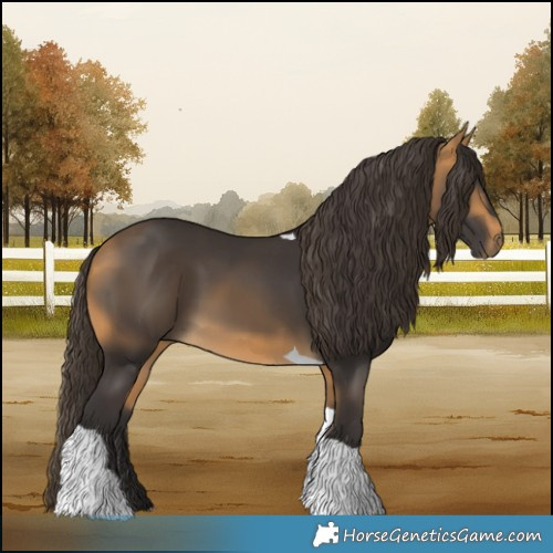 Horse Color:Buckskin Tobiano 