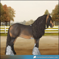 Horse Color:Buckskin Tobiano 