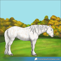 Horse Color:Cremello Near Leopard and Cremello Near Leopard