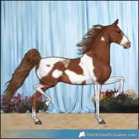 Horse Color:Chestnut Tobiano Frame 