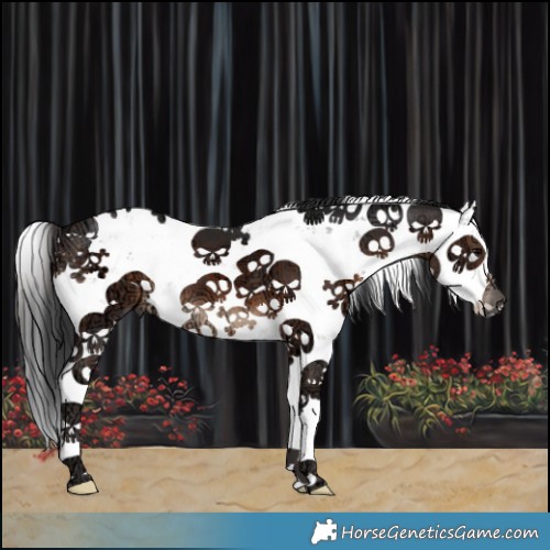 Horse Color:Brown Ice Sabino 