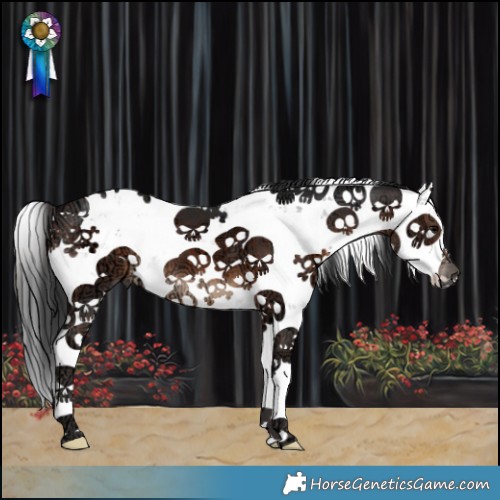 Horse Color:Brown Ice Sabino 