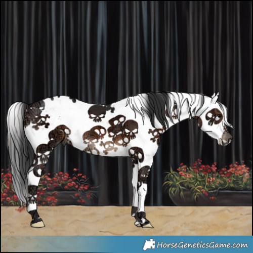 Horse Color:Brown Ice Sabino