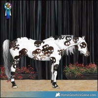 Horse Color:Brown Ice Sabino 