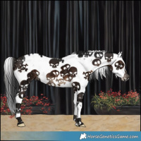 Horse Color:Brown Ice Sabino 