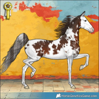 Horse Color:White Spotted Liver Chestnut Sabino Splash 