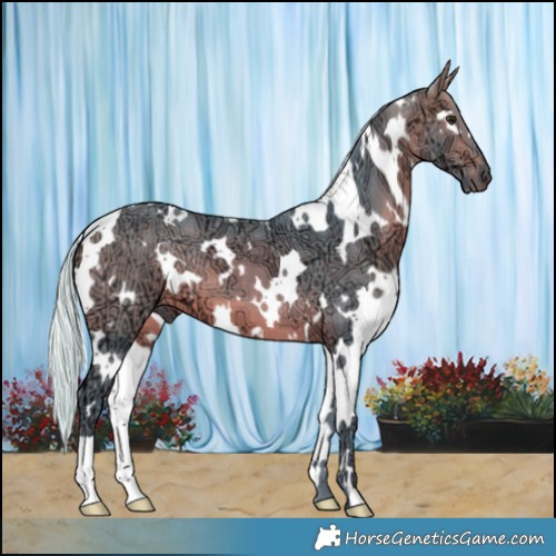 Horse Color:Watercolor White Spotted Silver Bay Ice 