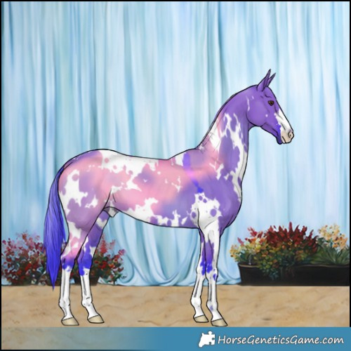 Horse Color:Watercolor White Spotted Liver Red Dun 
