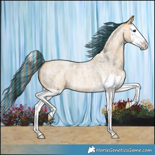 Horse Color:Painted Buckskin Roan Splash 