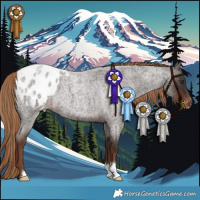 Horse Color:Liver Red Roan Appaloosa