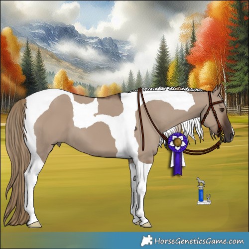 Horse Color:Liver Red Dun Tobiano 