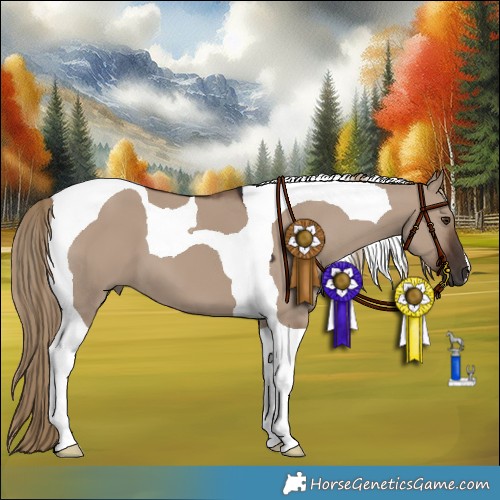 Horse Color:Liver Red Dun Tobiano 
