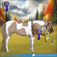 Horse Color:Liver Red Dun Tobiano 