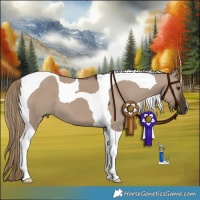 Horse Color:Liver Red Dun Tobiano