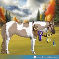 Horse Color:Liver Red Dun Tobiano