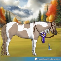 Horse Color:Liver Red Dun Tobiano 