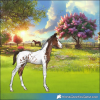 Horse Color:Liver Chestnut Tobiano Appaloosa Rabicano 