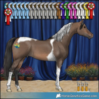 Horse Color:Brown Dun Tobiano