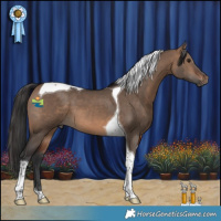 Horse Color:Brown Dun Tobiano 