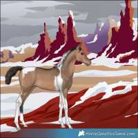 Horse Color:Bay Dun Tobiano 