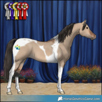 Horse Color:Bay Dun Tobiano 