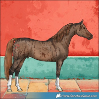 Horse Color:Liver Red Dun Brindle 