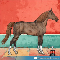 Horse Color:Liver Red Dun Brindle