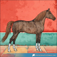 Horse Color:Liver Red Dun Brindle 
