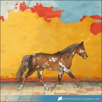Horse Color:White Spotted Chocolate Palomino 