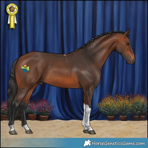 Horse Color:Bay Tobiano 