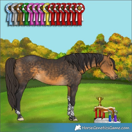 Horse Color:Buckskin Tobiano Rabicano 