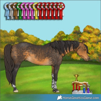 Horse Color:Buckskin Tobiano Rabicano