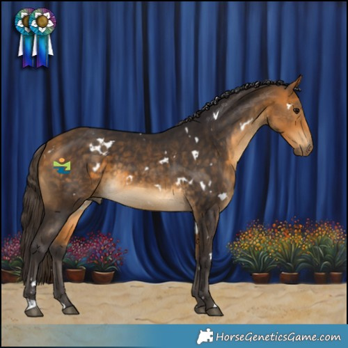 Horse Color:White Spotted Buckskin 